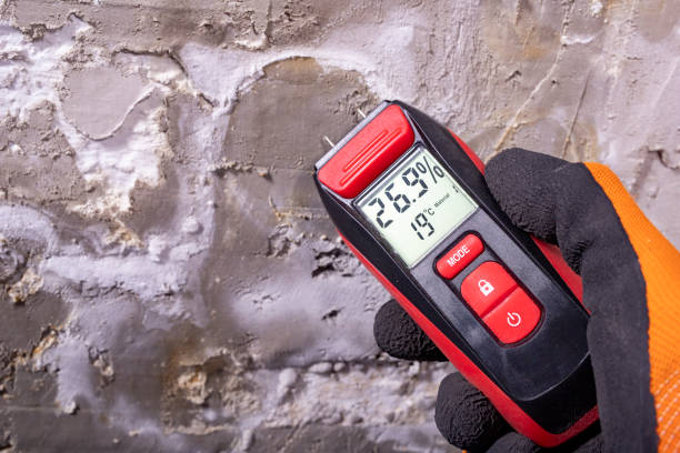 Best Mold Remediation for Specific Building Types in Le Claire, IA